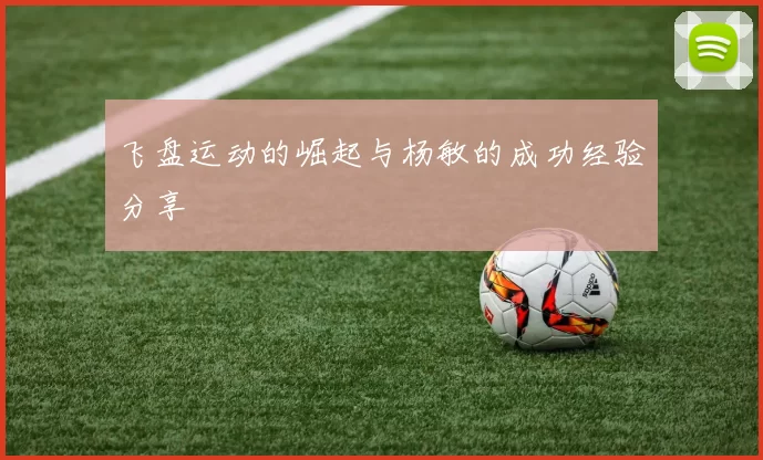 飞盘运动的崛起与杨敏的成功经验分享