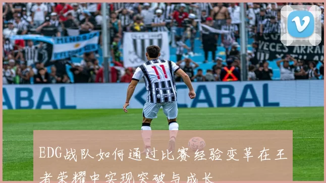 EDG战队如何通过比赛经验变革在王者荣耀中实现突破与成长