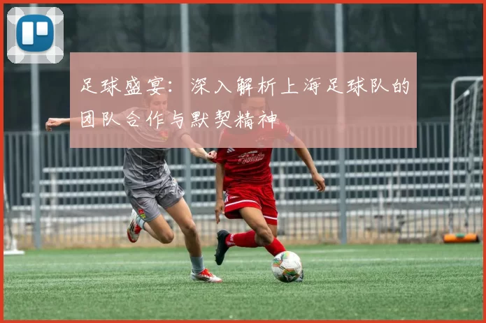 足球盛宴：深入解析上海足球队的团队合作与默契精神