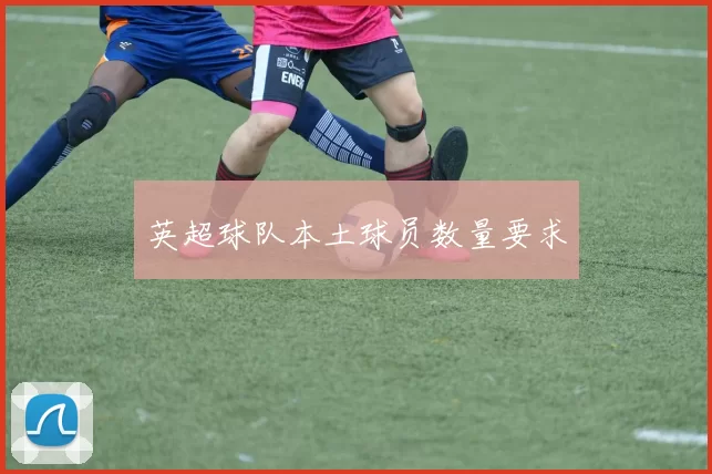 英超球队本土球员数量要求