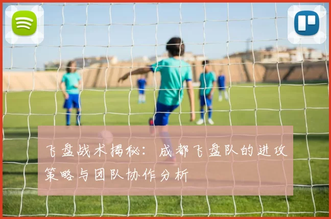 飞盘战术揭秘：成都飞盘队的进攻策略与团队协作分析