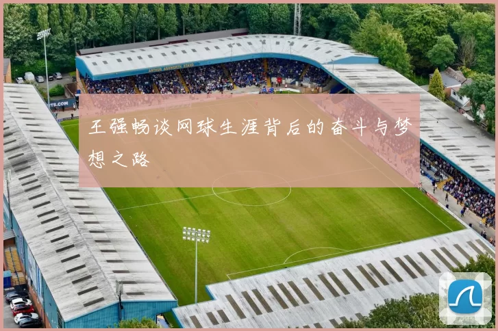 王强畅谈网球生涯背后的奋斗与梦想之路