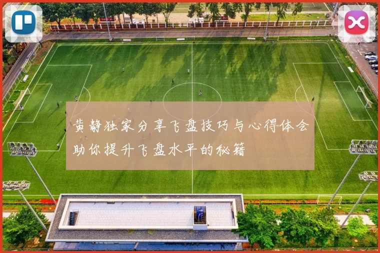 黄静独家分享飞盘技巧与心得体会助你提升飞盘水平的秘籍
