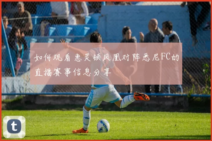 如何观看惠灵顿凤凰对阵悉尼FC的直播赛事信息分享