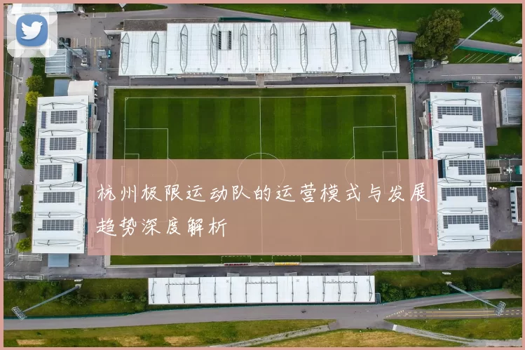 杭州极限运动队的运营模式与发展趋势深度解析