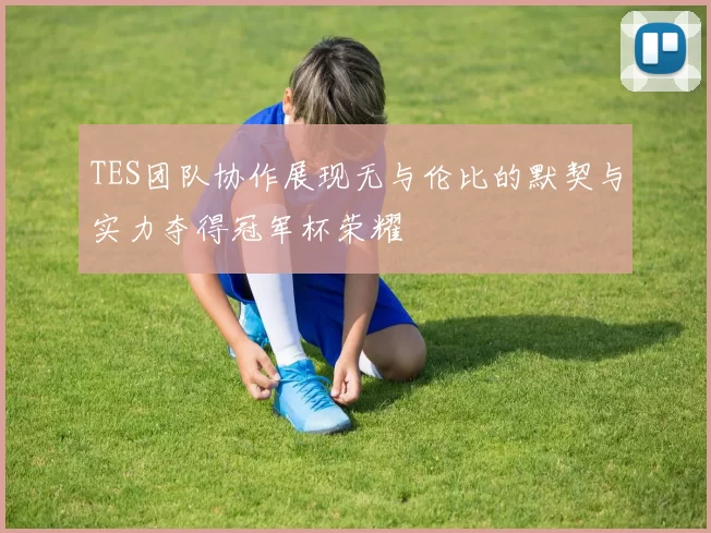 TES团队协作展现无与伦比的默契与实力夺得冠军杯荣耀